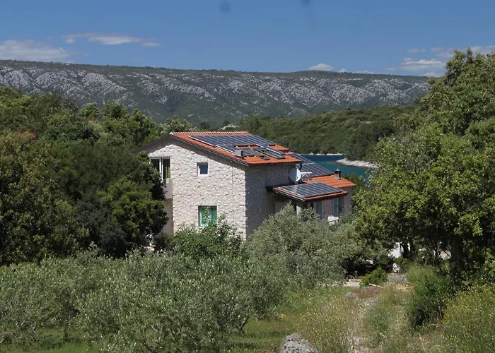 Karkavac - Scedro 8801a * Jelsa (Hvar)